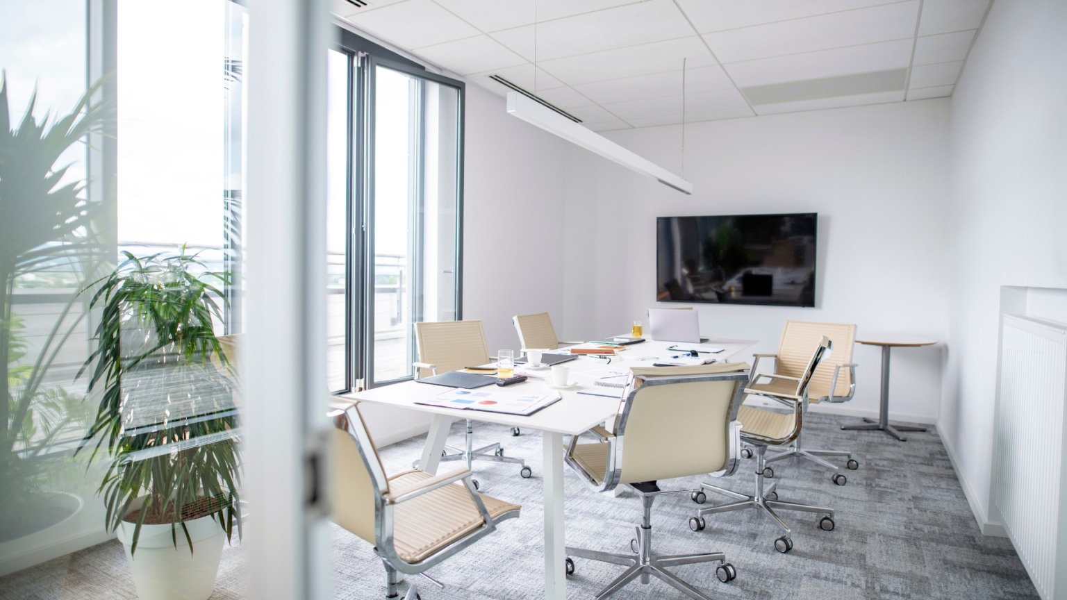 Visual Reference: 12 Undeniable Benefits Of Natural Light In A Shared Workspace
